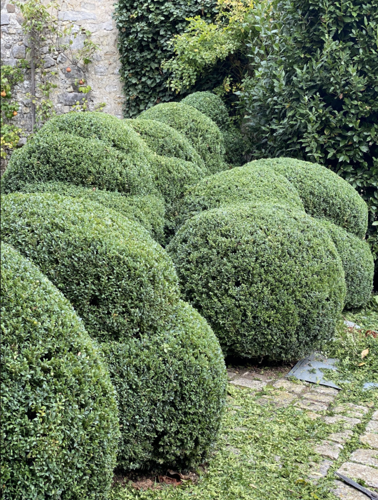 Screenshot 2026-02-20 at 15.01.18