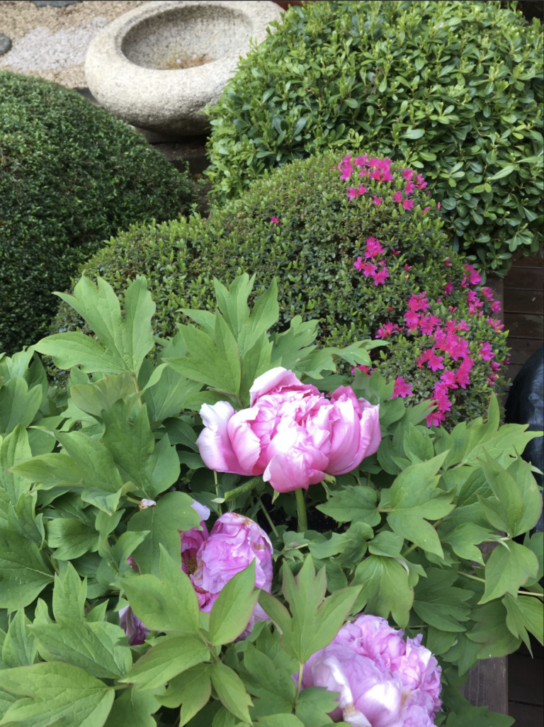 Screenshot 2026-02-20 at 15.01.37