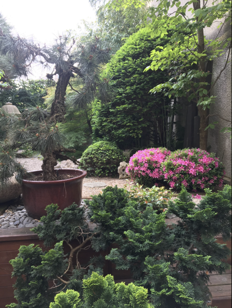 Screenshot 2026-02-20 at 15.51.13