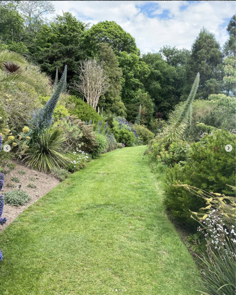 Screenshot 2026-03-27 at 15.14.01