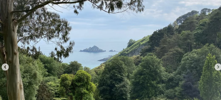 Screenshot 2026-03-27 at 15.14.10